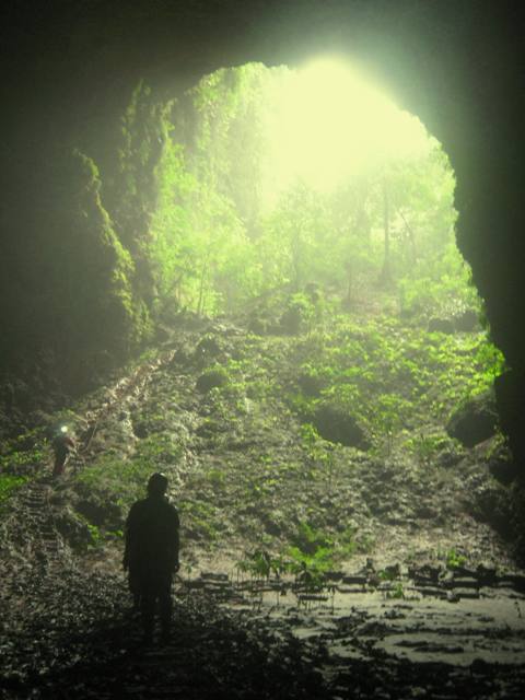 gua jomblang 