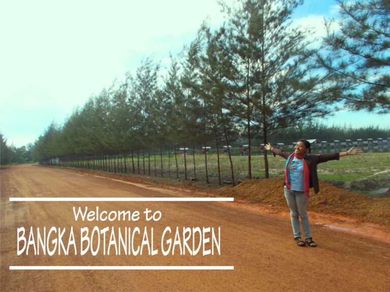 bangka-botanical-garden